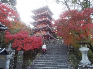 紅葉の素晴らしい竹林寺