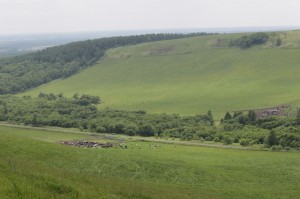 IMG_3643_1024