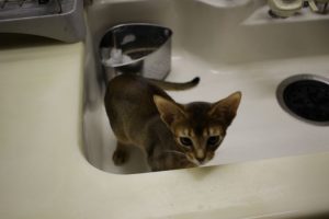 IMG_3661_1024